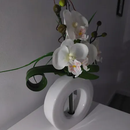 Maison Proche Fatima Batalha Vakantiehuis Reguengo do Fetal