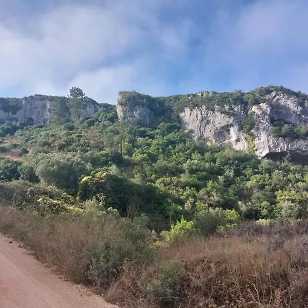 Maison Proche Fatima Batalha Vakantiehuis